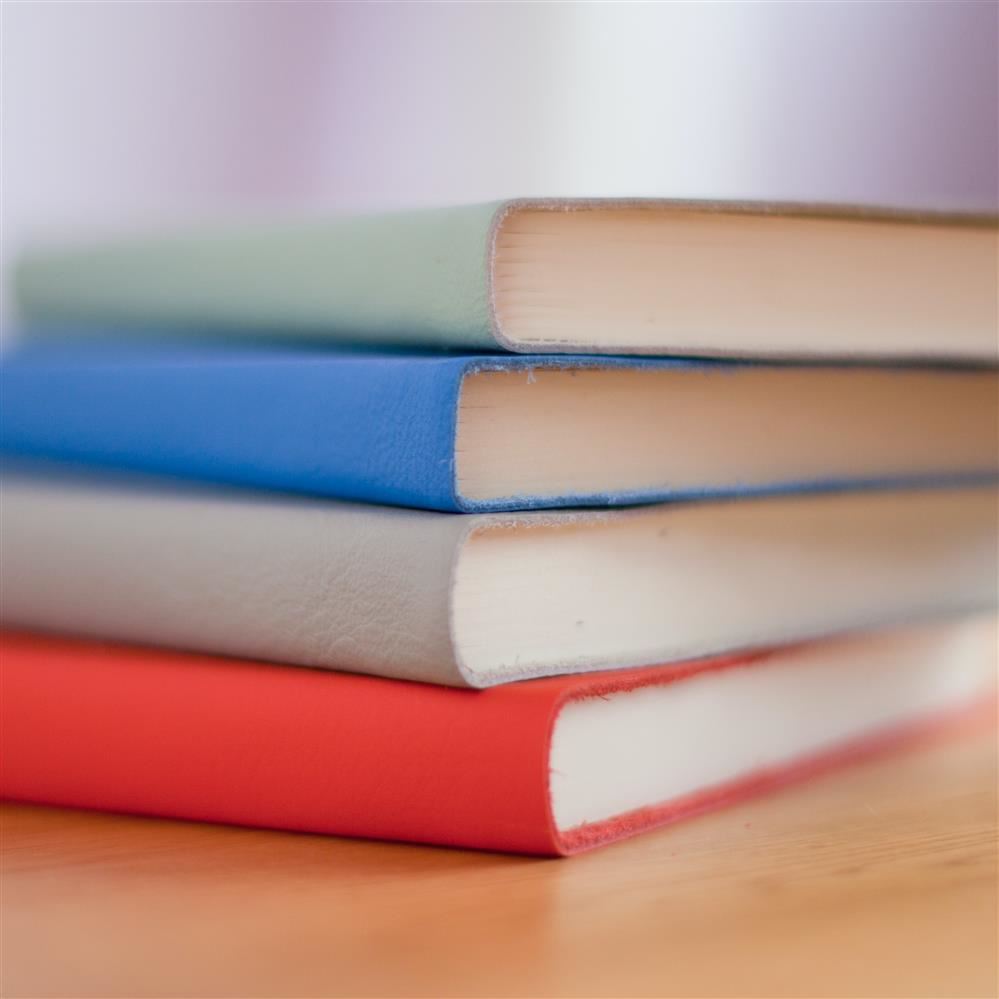  Program of Studies